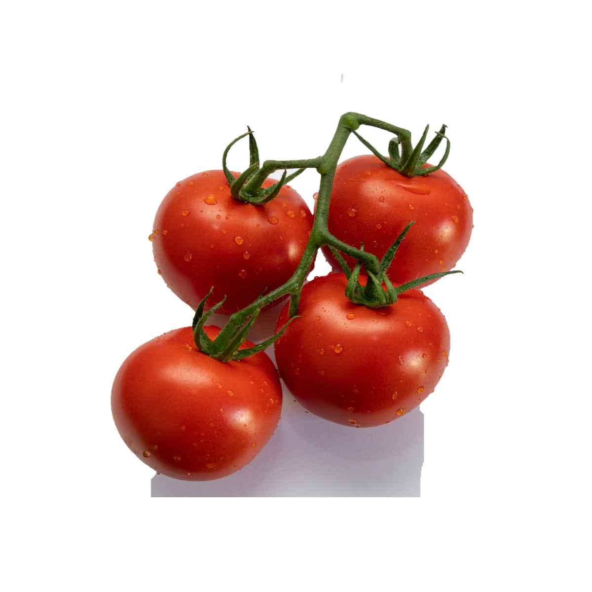 Tomate redondo x Kg