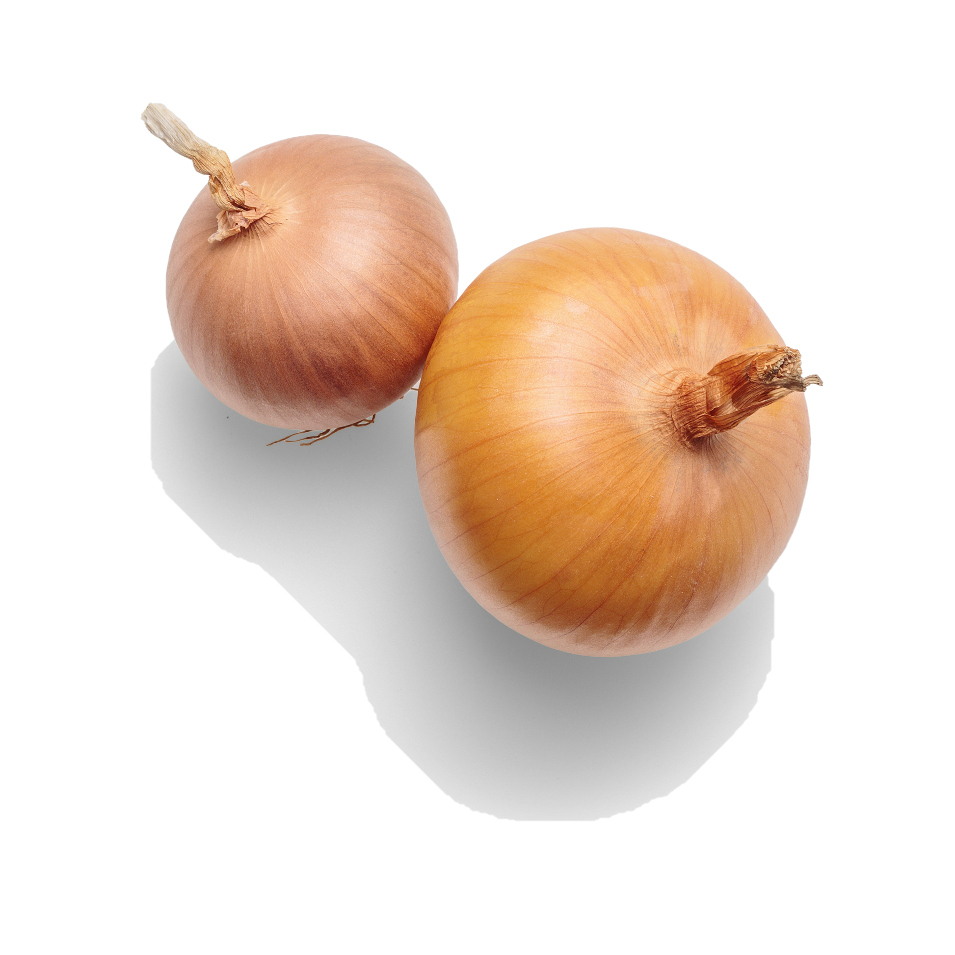 Cebolla x Kg